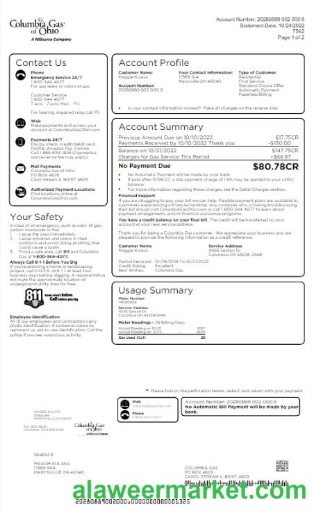 USA COLUMBIA GAS OF OHIO utility bill Word and PDF template